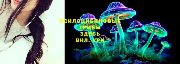 винт Абаза