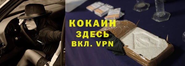 винт Абаза