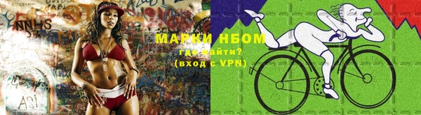 стаф Алексин