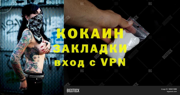 винт Абаза